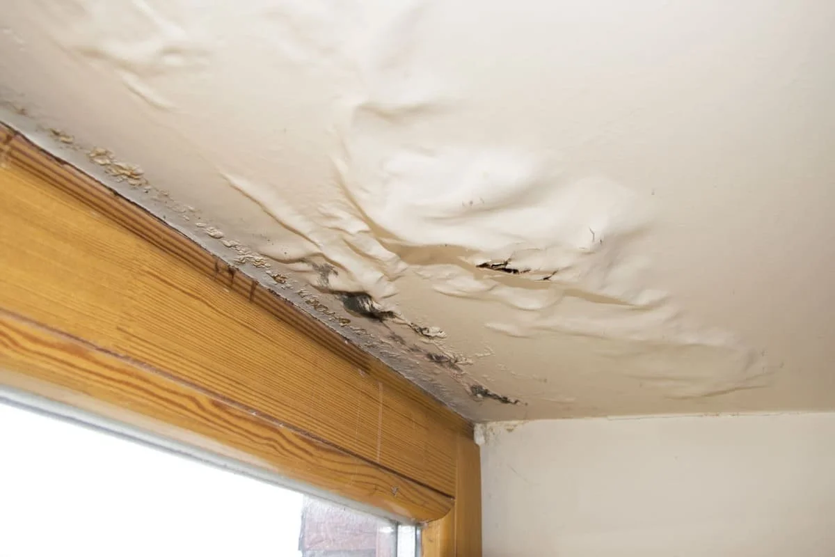 Water Damage Restoration Near Me in Round Lake Park